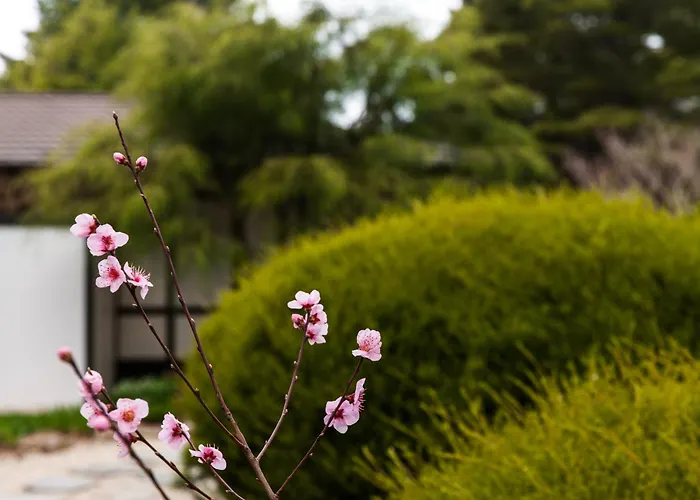 Shizuka Ryokan Japanese Country Spa & Wellness Retreat